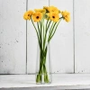 Karafa na vodu, váza Pure, 24 cm, 1,2 l | KROSNO GLASS F73C735024001000