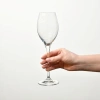Poháre na Prosecco, Harmony, 300 ml - súprava 6 kusov | KROSNO F57B576028004020