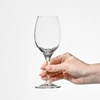 Poháre na víno WINE 280, 280 ml, súprava 6 kusov | KROSNO GLASS F578281024028C20