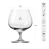 Poháre na degustáciu whisky XNO TASTING, 540 ml - súprava 6 kusov | KROSNO GLASS F579270048002020