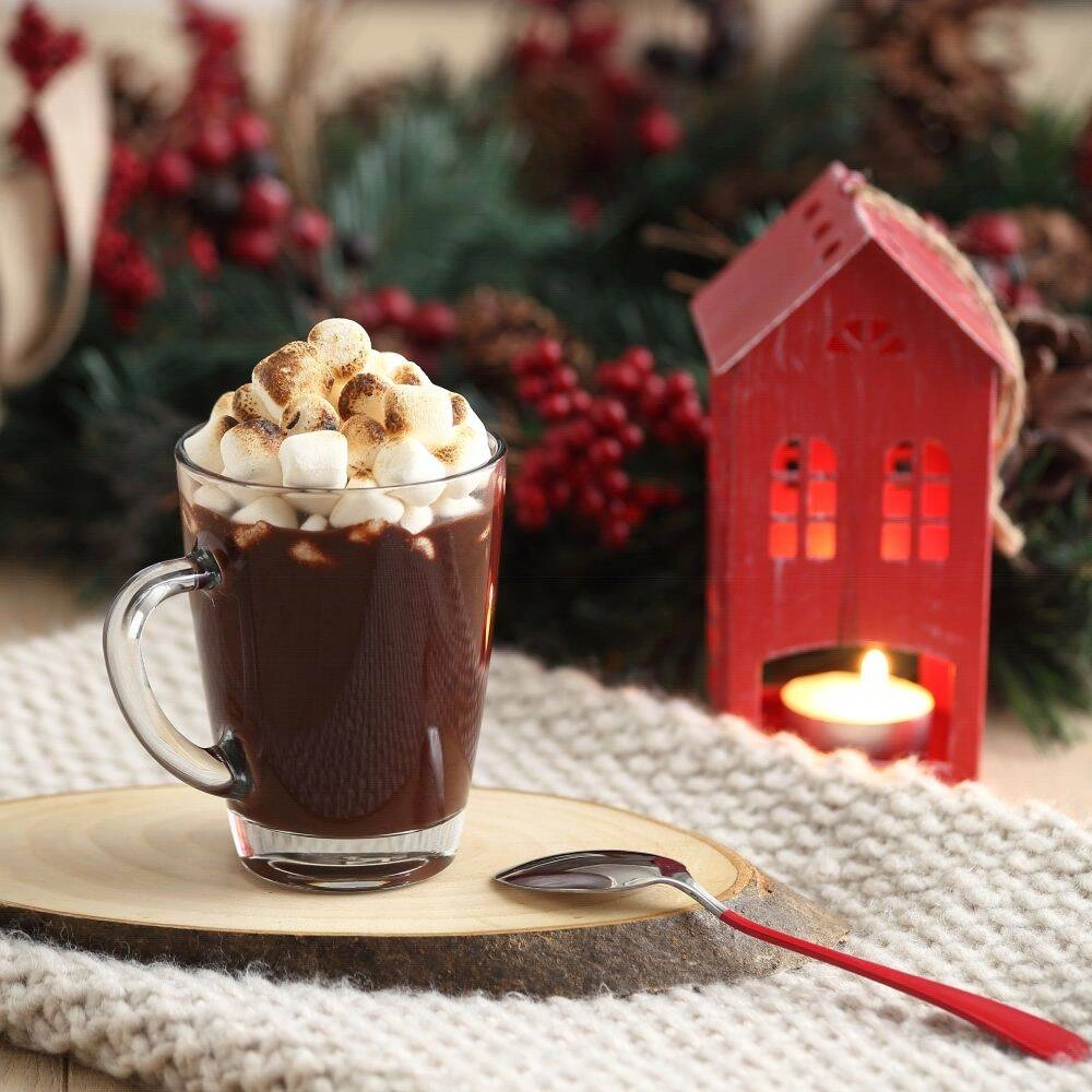 Sklenený pohár Basic 250 ml | MODERMO MG502