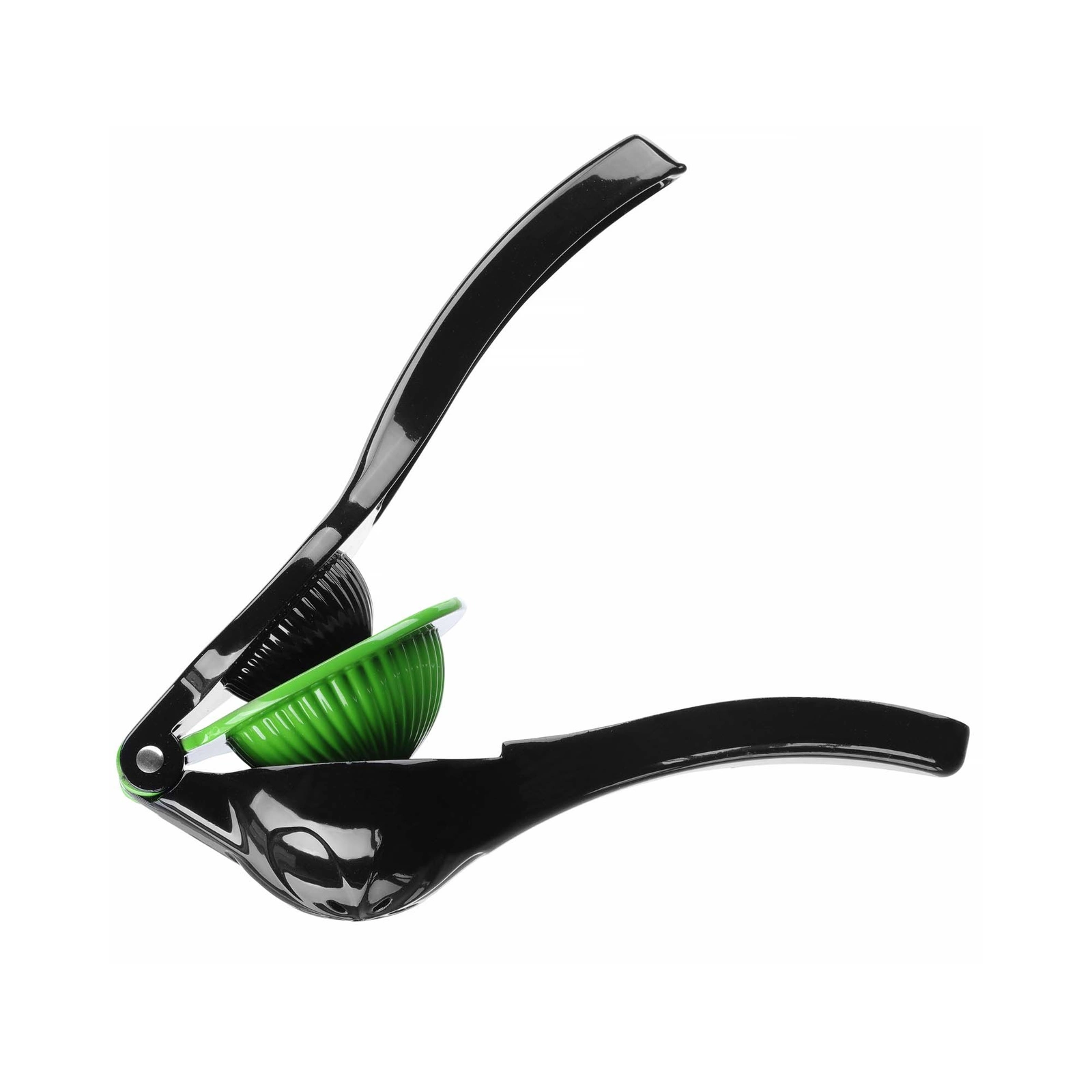 Lis na citrusy | BAR UP 592076