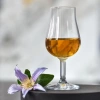 Poháre na degustáciu whisky Pure 110 ml - sada 6 kusov | KROSNO GLASS F577337010019000