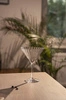 Poháre na martini, PERFECTION, 200 ml | APS 10545